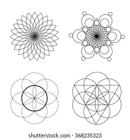 Sacred Geometry. The intersections of the circles. The linear design. Elements of the ornament.