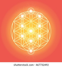 Sacred geometry. Magic geometry sign. Tree of life, Flower of life.