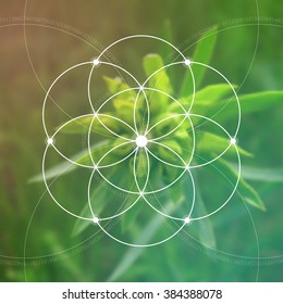 Sacred geometry. Mathematics, nature, and spirituality in nature. Fibonacci row. The formula of nature. The Eternity symbol and interlocking geometric shapes.
