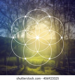 Sacred geometry. Mathematics, nature, and spirituality  in space. The formula of nature. There is no beginning and no end of the Universe, and no beginning and no end of the Life and the Bliss.