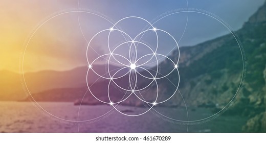 Sacred Geometry. Mathematics, Nature, And Spirituality In Nature. The Formula Of Nature. Flower Of Life.