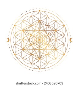 Símbolo sagrado de geometría. Ilustración vectorial. Flor mística esotérica de la vida. Semilla Dorada de la vida. Flor de loto de Mandala