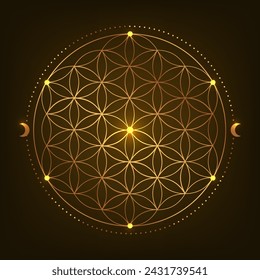 Sacred Geometry Symbol. Vector illustration. Mystic esoteric Flower of Life. Golden Seed of life. Mandala lotus flower on black background