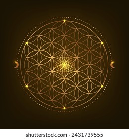 Sacred Geometry Symbol. Vector illustration. Mystic esoteric Flower of Life. Golden Seed of life. Mandala lotus flower on black background