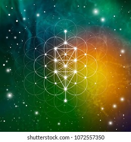 Sacred geometry tree of life ancient symbol vector illustration with golden ratio numbers, flower of life interlocking circles and particles in front of outer space background. 
