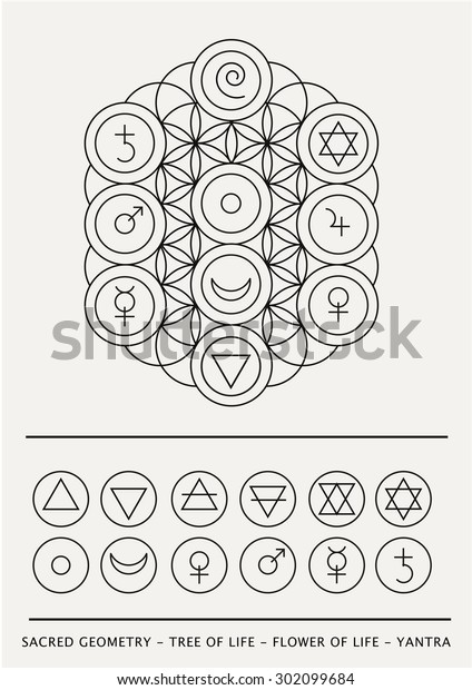 Sacred Geometry Tree Life Flower Life Stock Vector (Royalty Free ...