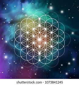 Sacred geometry tree of life vector illustration with golden ratio numbers, interlocking circles and particles in front of outer space background. 

