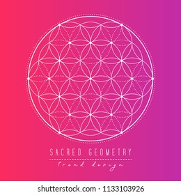 Sacred geometry vector design elements. Alchemy, religion, philosophy, spirituality, symbols and elements. White line on a gradient background.