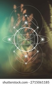 Sacred geometry vector illustration. Esoteric Energy Elements in Futuristic Design related to Tarot, Alchemy and Astrology. Golden ratio and Fibonacci row inspired design.