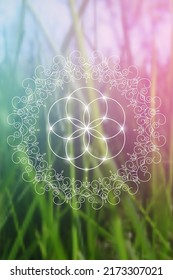 Sacred geometry zentangle inspired design template with oriental tribal ornaments. Flower of life ornamental new age art.Meditation symbol in front of natural background.