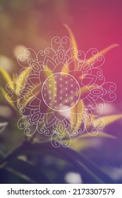 Sacred geometry zentangle inspired design template with oriental tribal ornaments. Flower of life ornamental new age art.Meditation symbol in front of natural background.