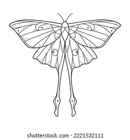 Sacred line art geometric luna moth. Abstract mystic geometry butterfly. Vector illustration. Natural design for tattoo, book cover, t-shirt print, poster or card.