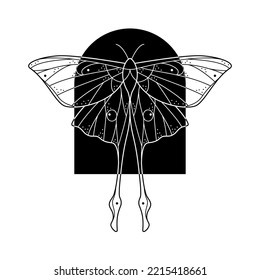 Sacred line geometric luna moth in arch shape frame. Abstract mystic geometry butterfly. Vector illustration. Natural design for tattoo or makhenda, book cover, t-shirt print, poster or card.