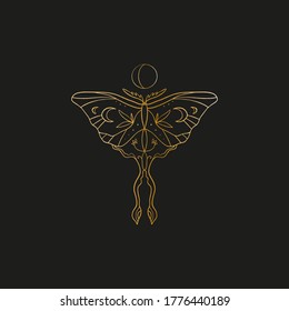 Sacred line geometric symbol with butterfly and moon phase, gold figure on black background. Abstract mystic geometry. Vector illustration.