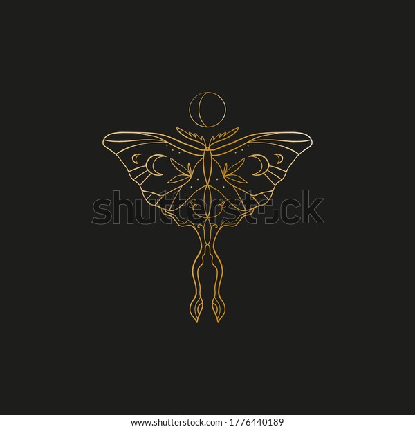 黒い背景に聖なる線の幾何学的なシンボルと蝶と月の位相 金色の図形 抽象的な神秘的なジオメトリ ベクターイラスト のベクター画像素材 ロイヤリティフリー