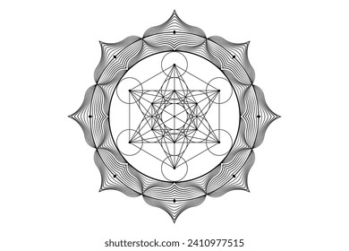 Sacred mandala von Metatrons Cube, Mystische Blume des Lebens. Heilige Geometrie, Grafikelement Vektor einzelne Illustration. Mystische Ikone platonische Feststoffe, abstrakte geometrische Zeichnung, typische Kulturkreise