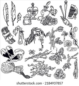  Sacred mysterious art.Vector set of hand drawn magical occult elements in graphic style.Hand-drawn magic icons: skull, bones, feathers, potions,  runes, insects. 