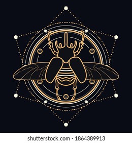 Sacred scarabaeus atlas beetle with celestial design elements - insect illustrated with gold and white lines on black background