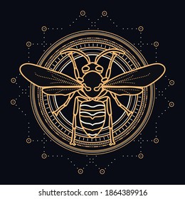 Sacred wasp with celestial design elements - insect illustrated with gold and white lines on black background