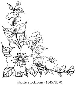 Sacura isolated over white. Vector illustration.