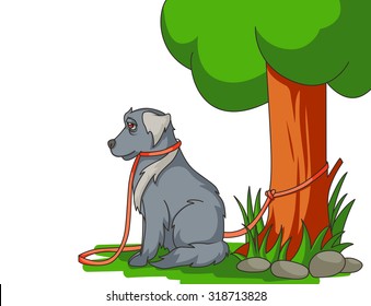 Sad abandoned dog with lead tied to the tree