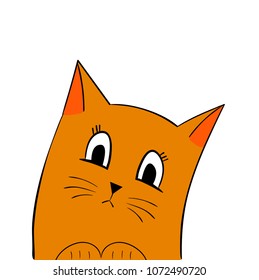 sad cat in the white blackground