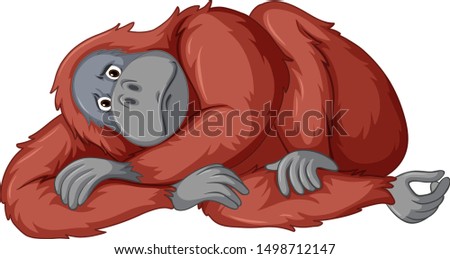 Sad chimpanzee on white background illustration