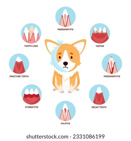 Trauriger Corgi-Hund mit Zahnkrankheiten. Kaninenkrankheit von Zahn, Zahnfleisch, Symbolen. Infografik-Banner. Vektorgrafik im Cartographie-Stil