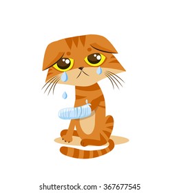 Sad Crying Cat Cartoon Vector Illustration. Cat With Splinting Leg.