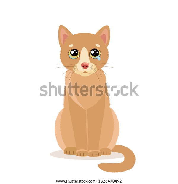 ᐈ Gato triste imágenes de stock, animado gatitos lindos tristes | descargar  en Depositphotos®