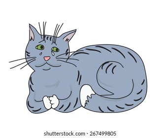 Sad Crying Grey Cat With White paws and green eyes