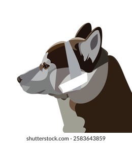 A sad and cute face of an injured Siberian Husky being treated with bandages and plaster, Dog is treated when it is sick, Vector graphics illustration of brown puppy resting