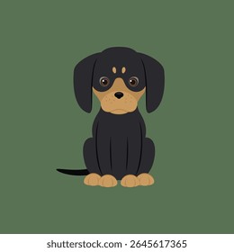 Sad dachshund puppy sitting on green background, cute vector dog illustration