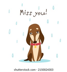 A sad dachshund stands in the rain. Lettering miss you. Drawn in cartoon style. Vector illustration for designs, prints and patterns. Isolated on white background
