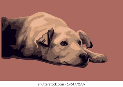 Sad dog on Christmas waiting for owner and family while sleeping and want to get a gift from Santa Claus
