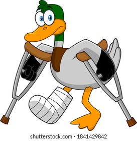 Sad Duck Cartoon Character With Crutches And Plastered Leg. Vector Illustration Isolated On White Background