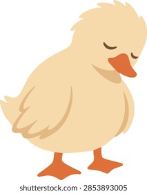 Sad Duckling Looking Down Cute Hand Drawn Animal Illustration