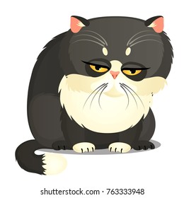 Sad fat gray cat with yellow eyes isolated on a white background. Funny animal. Vector cartoon close-up illustration.