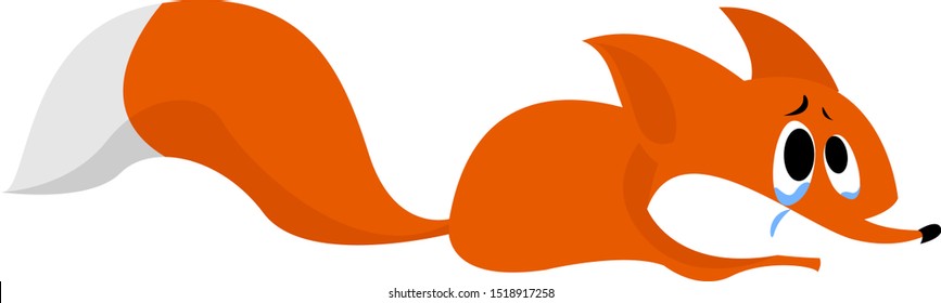 Sad fox, illustration, vector on white background.