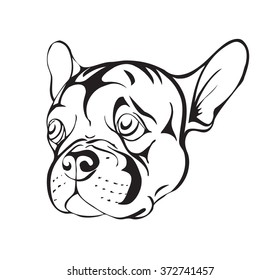 sad french bulldog, stylized vector illustration