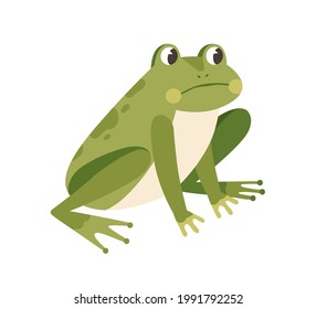 Trauriger Frosch sitzt mit unglücklichem Gesicht. Funny nachdenklich Froglet. Entzündet grüne Kröte. Kinderfarbige flache Vektorgrafik eines miserablen Amphibientiers einzeln auf weißem Hintergrund