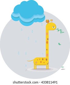 sad giraffe chewing on a twig in the rain