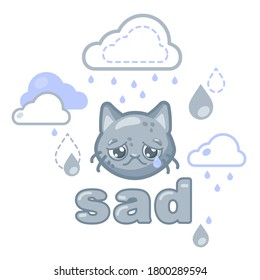 sad gray smiley face with a cat's face under a rain cloud
