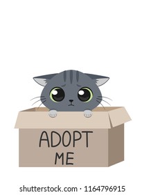 Sad grey homeless kitten inside a cardboard box is begging for the adoption. Vector illustration for animal shelter poster