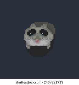 sad hamster, pixel art animal