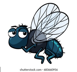Fly Clipart High Res Stock Images Shutterstock