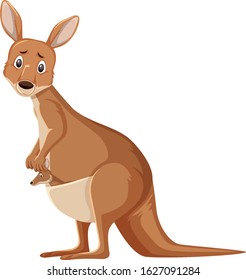 Sad kangaroo standing on white background illustration