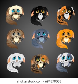 Sad kittens in different colors