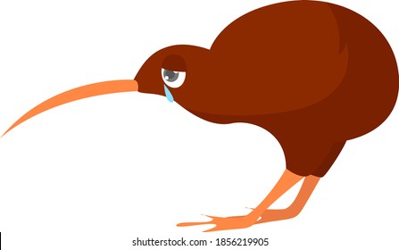 Sad kiwi the bird, illustration, vector on white background