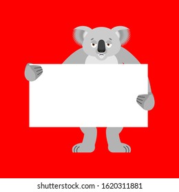 Sad Koala holding banner blank. koala bear sorrowful and white blank. place for text. Vector illustration